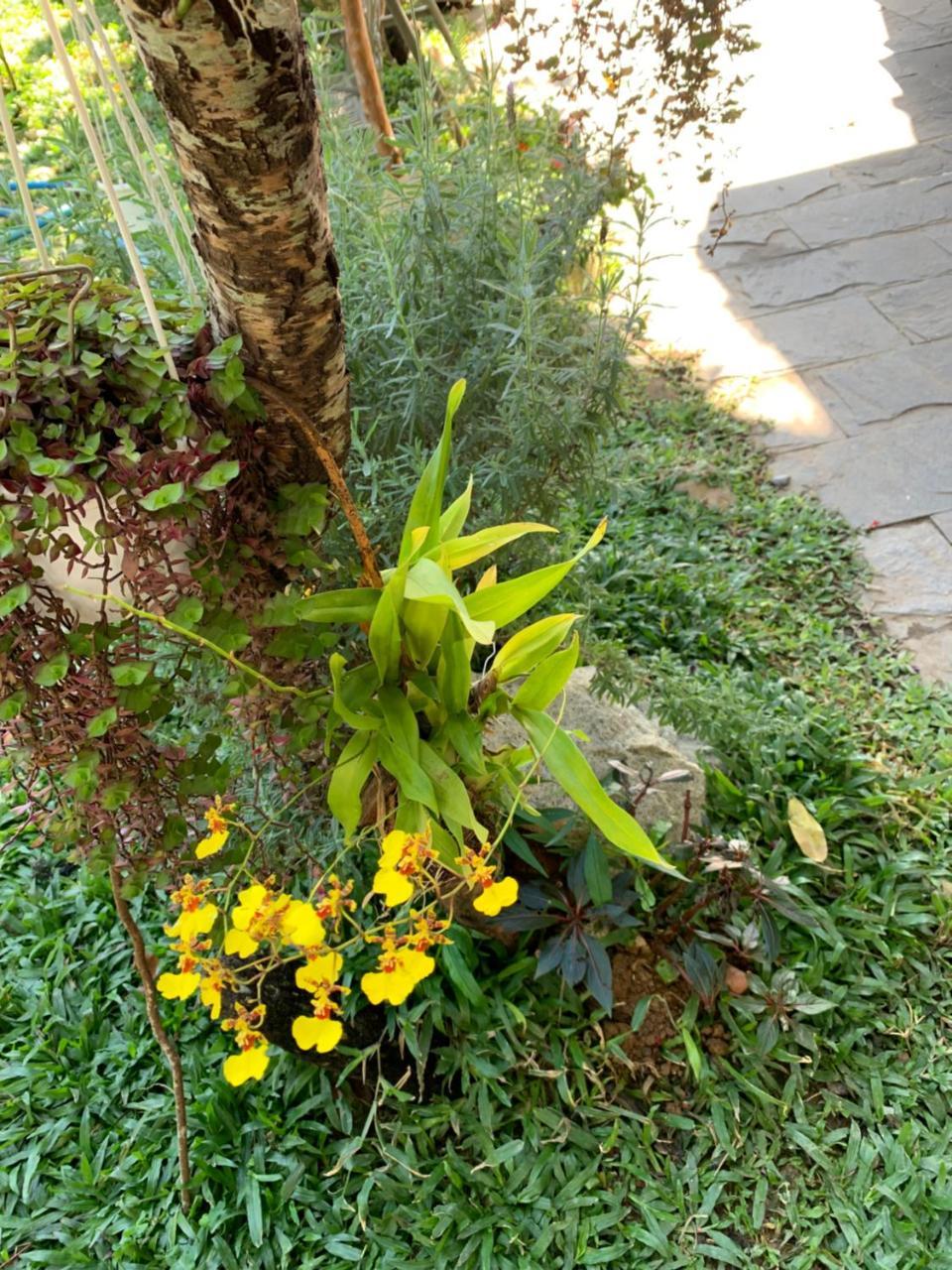 De Daisy Villa Homestay Da Lat Buitenkant foto